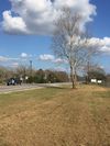 31155 Bunting Rd photo